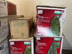 lot 61 image: Wholesale Christmas Trees.