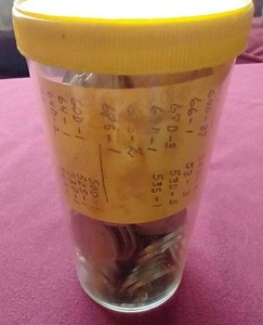 lot 27 image: Large Container of Vintage Nickels - 1940s - 1960s