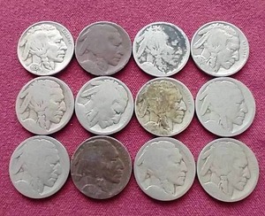 lot 77 image: (12) Buffalo Nickels