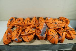 lot 223 image: 17 Biggz Basketballs with Pump