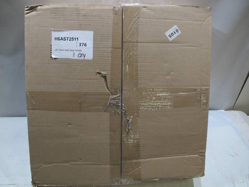 lot 470 image: Vickerman  4-in White Aster Bean Artificial Christmas Wreath