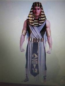 lot 71 image: 2 Mens All Powerful Pharaoh Costum...