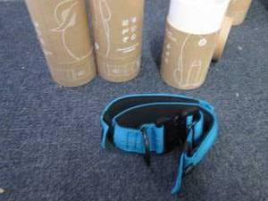 lot 111 image: 3- SparklyPets Bungee Wide Dog Coll...