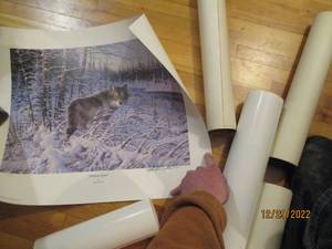 Collection of rolled up prints, see...