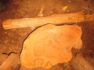 4-5 round Slab of tree trunk with...
