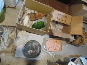 Leaf Fossils, Rocks, Vintage Glassw...