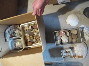 Box of Shells, Rocks and Other Deco...