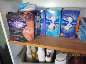 Ladies Panty Liners and Undergarmen...