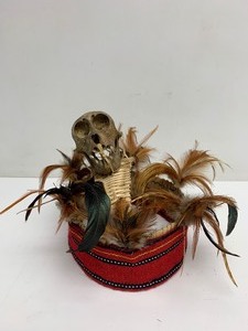 Genuine Ifuago Mombaki ShamanPriest Headdress wSkull