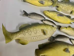 lot 9 image: Group of Foam Fish