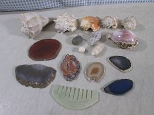 lot 27 image: (CSB) Assorted Agate Slices and Sea...