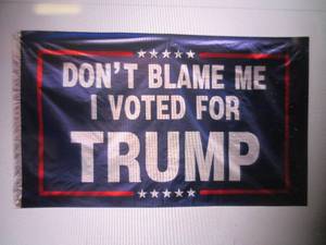 lot 171 image: (EC1) 3 ft x 5 ft Dont Blame Me  ...