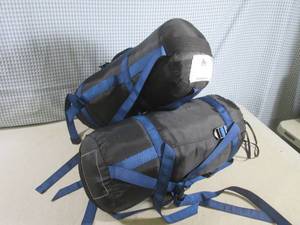 lot 296 image: (EW6) Lot of 2 Kelty Extended Jr Sl...