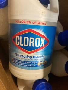 Clorox Disinfecting Bleach
