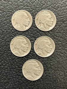 Buffalo Nickels