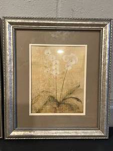 lot 79 image: Set of 2 Narcissus & Orchid Framed Photos