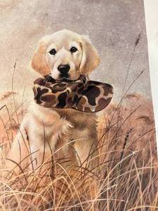 lot 97 image: Ready to Hunt Print by Lynn R Kaatz