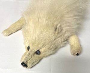 lot 322 image: Vintage Arctic Fox Stole