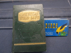 Am. Wildlife & Blue Book of Birds