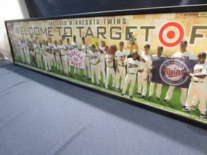 MN Twins Print