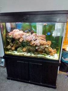 Huge Saltwater Fish Tank Tank Only