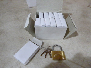 12 Padlocks