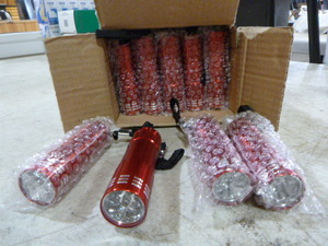 24 Pocket LED Flashlights