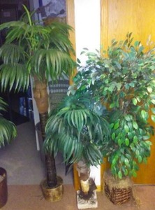 lot 226 image: 3 artificial Trees.