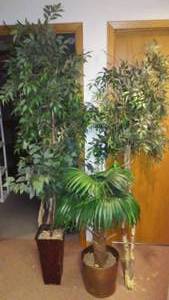 lot 227 image: 4 Artificial trees