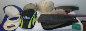 lot 239 image: NASCAR Caps and automobile Supplies