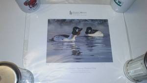 lot 288 image: Ducks Unlimited Sponsor Print, Limited Edition, 2009 Scot Storm