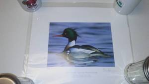 lot 289 image: Ducks Unlimited Sponsor Print, 2011 Kevin Nelson, Limited Edition.