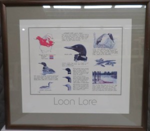 FRAMED LOON ART LOON LORE