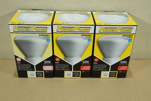 3 Powerphase 14w Soft White Bulbs