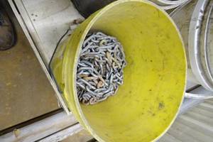 Bucket of Assorted Chains