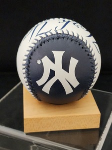 lot 123 image: Spinneybeck Team Baseball