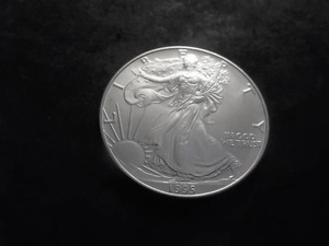 1995 US American Silver Eagle 1 OZ. .99 Fine MS From Unc. Roll