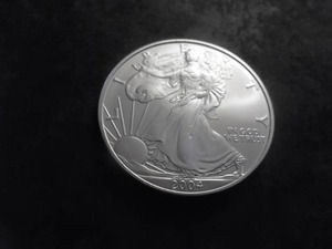 2004 US American Silver Eagle 1 OZ. .99 Fine MS From Unc. Roll