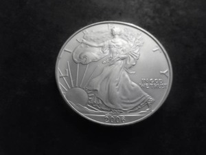 2006 US American Silver Eagle 1 OZ. .99 Fine MS From Unc. Roll