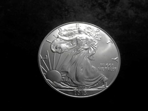 2013 US American Silver Eagle 1 OZ. .99 Fine MS From Unc. Roll