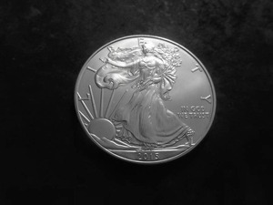 2015 US American Silver Eagle 1 OZ. .99 Fine MS From Unc. Roll