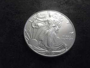 2019 US American Silver Eagle 1 OZ. .99 Fine MS From Unc. Roll