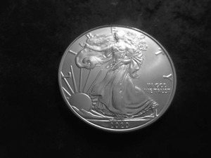 2020 US American Silver Eagle 1 OZ. .99 Fine MS From Unc. Roll