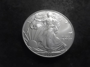 2021 US American Silver Eagle 1 OZ. .99 Fine MS From Unc. Roll