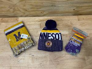lot 33 image: Minnesota Winter Gear (Vikings Colors)