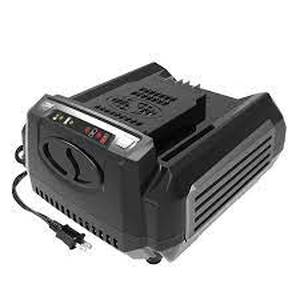 lot 110 image: Snow Joe  Sun Joe iON100V-RCH Rapid Charger for 100 Volt iON100V Series Tools - Black