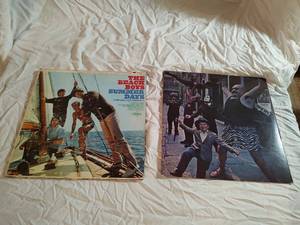 2 records the beach boys and the doors