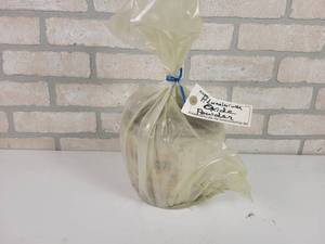 lot 198 image: Aluminum Oxide Powder - Gross Weight Approx. 4.8 LBS