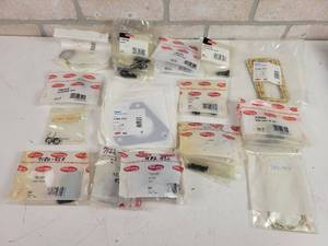 lot 313 image: NOS - DELPHI Parts - Gaskets, Seals, Springs, Screws, Pressurizing Valves, Metering Valve and More - See Description for Details