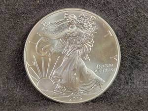 2013 Silver American Eagle Coin - 1oz .999 Fine Silver